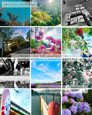 ヘッダー画像｜【未経験･女性歓迎✨】PIKUぽ(ぴくぽ)お散歩写真サークル📸✨️(社会人サークル/20.30代前半/写真散歩サークル/)