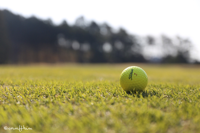 プロフィール｜平日まほろば会⛳️