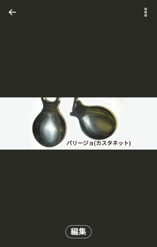 プロフィール｜東京大学フラメンコ舞踏団
