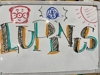 プロフィール｜Lupinus