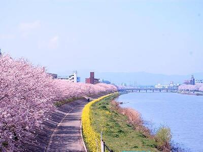 ヘッダー画像｜助け合おう会