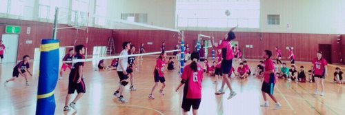 プロフィール｜東京大学バレーボールサークルmaru