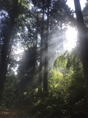プロフィール｜Wood Field