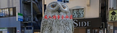 プロフィール｜IGNS 社会人音楽コミュニティ