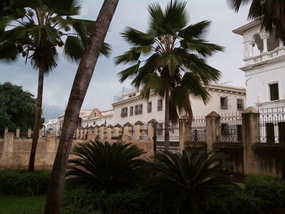 プロフィール画像｜Backpackers Group🌿